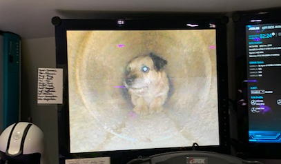 Liaudet Pial sauve un chien coincé dans un tuyau en béton
